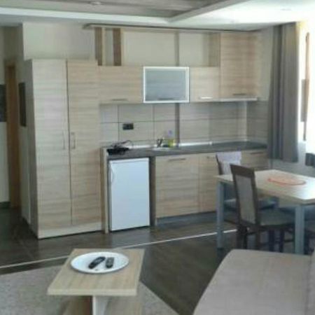 Apartment Ana Kopaonik Bagian luar foto
